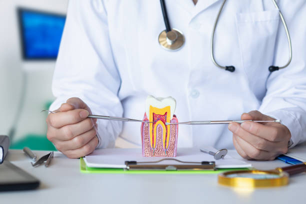 Best Mobile Emergency Dentist in Nd Point, WI